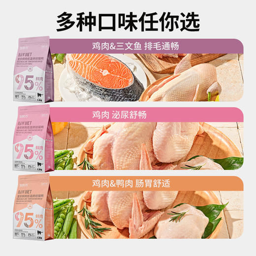 伯纳天纯生时力鲜肉低温烘焙猫粮1.5kg全价猫加菲猫布偶猫高蛋白易吸收 商品图2
