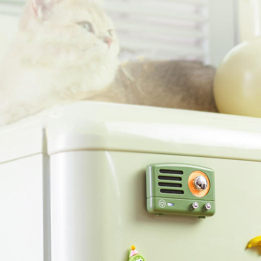 【为思礼】猫王灵感贴贴小音箱 磁吸音响 蓝牙冰箱贴 小巧复古 创意摆件 伴手礼物 商品图1