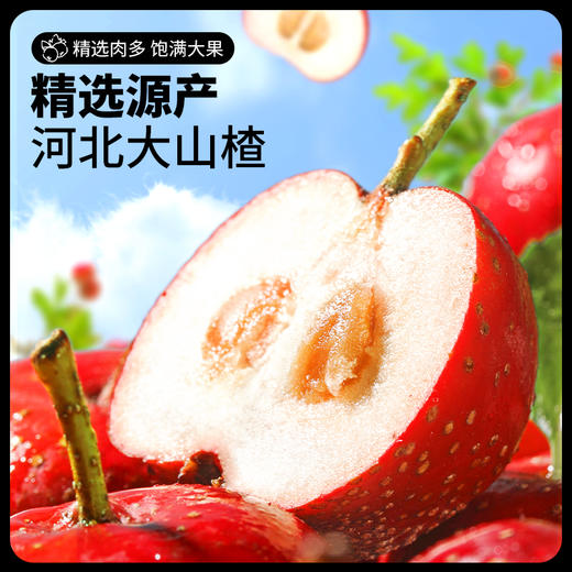 【会员满减专区】山楂真多大礼包800g（内含约120袋） 商品图2
