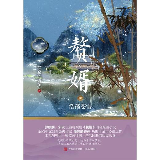 赘婿 10 浩荡苍雷 商品图0