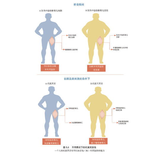 《生酮！》 商品图8