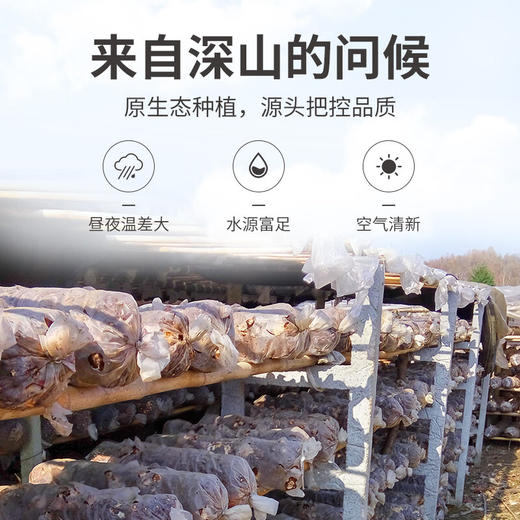 【方家铺子】香菇400g 商品图4