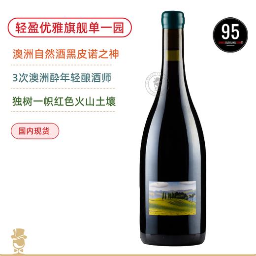 JS95高分！澳洲自然酒之神！威廉唐尼康普希尔单一园黑皮诺 William Downie Camp Hill Pinot Noir 2023【轻盈优雅鼎级黑皮诺】 商品图0