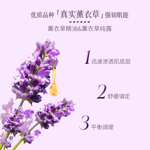 【15周年庆！2件5折】艾玛丝高地薰衣草水分乳120ml 商品图3