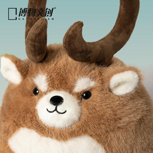 博物文创 圆宝系列海南坡鹿毛绒玩偶节日礼物 商品图3