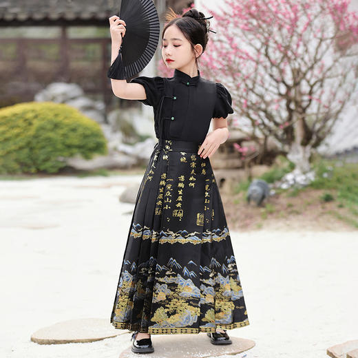 女童夏装马面裙新中式半身裙套装汉服唐装XWN-2755 商品图3