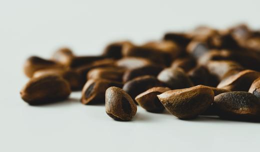 野生红松籽 300g | 东北虎豹国家公园 汪清片区 l 长白山 商品图2