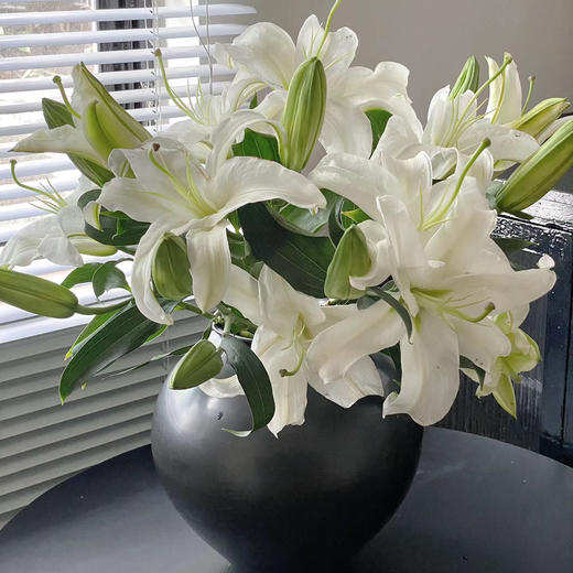 香水百合丨西伯利亚两头 商品图2