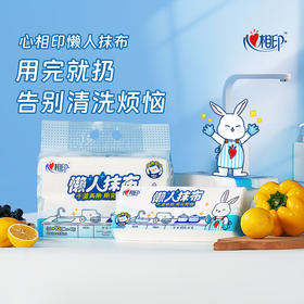 心相印抽取式懒人抹布单提装 JXG120（提装）40抽*4包  抽取设计 干湿两用