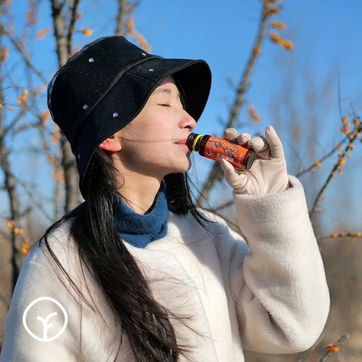 【检测SGS4次复检308项农残未检出 内蒙原始主义沙棘原浆 有机原料/远方定制有机沙棘全果原浆 保留沙棘本真】每日一支补充所需维生素C 商品图2