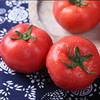 普罗旺斯西红柿 4.5斤装 商品缩略图1