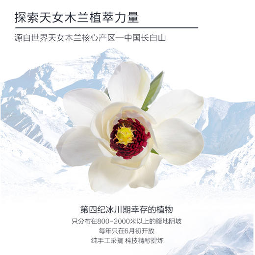 【星品福利】柔皙美白天女木兰祛斑水乳霜组合 商品图3