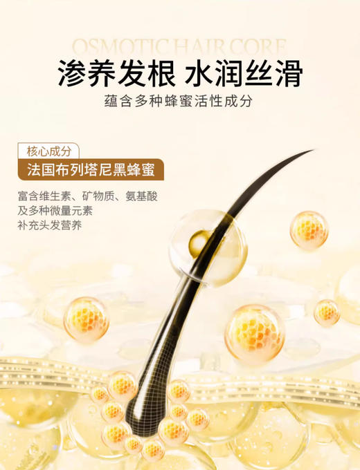 法国黑蜂蜜去油蓬松洗发水500ml 商品图3