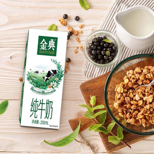 伊利金典纯牛奶250ml*12盒 商品图3
