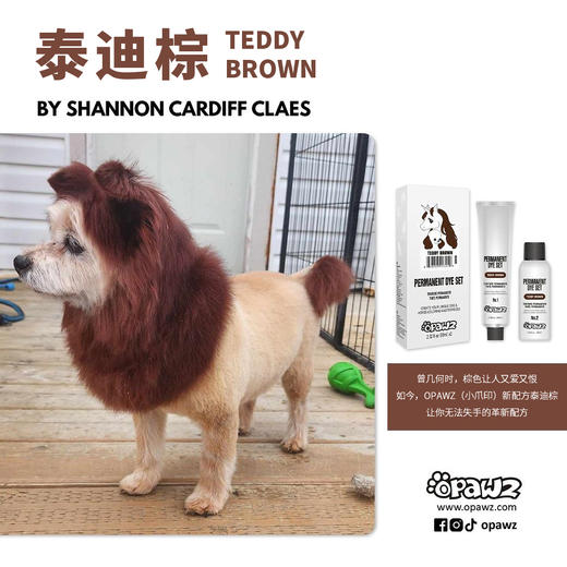 泰迪棕双支宠物持久染色剂 OPAWZ小爪印 商品图1
