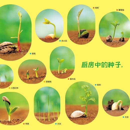 《好好科学》 （共4辑） 商品图8