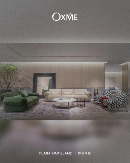 伊莎贝拉 休闲椅 | 皮布面料可选，详询客服 商品图5