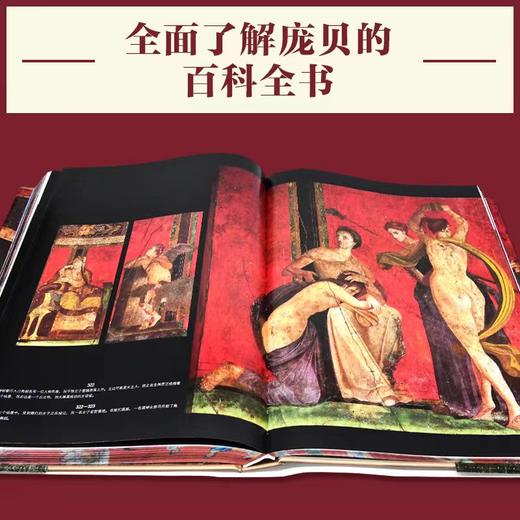 【纪念珍藏版】庞贝古城 : 永恒的历史、生活和艺术 商品图2