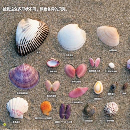 《好好科学》 （共4辑） 商品图7