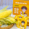 10盒装立减15元！恒升庆【鲜糯玉米浆包】200多年老字号 🌽玉米胚芽制作而成 粗粮中的“软黄金” 0添加0防腐0色素 粗粮代餐😋早餐必备 商品缩略图6