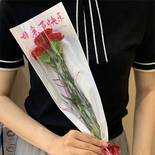 康乃馨小花束3支/束 商品图2