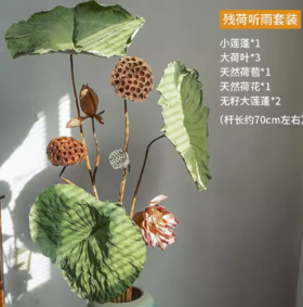 残荷听雨干花套装