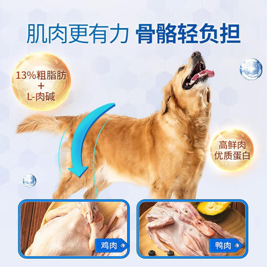 【试吃装】伯纳天纯宠物狗粮通用高龄6岁以上金毛阿拉斯加泰迪老年犬专用狗粮300g 商品图2