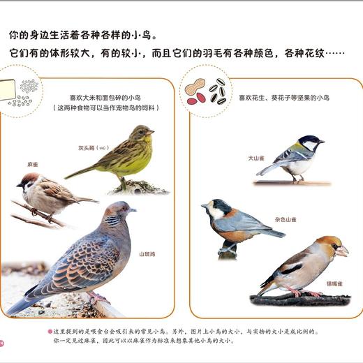 《好好科学》 （共4辑） 商品图6