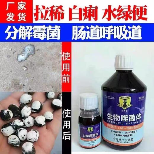 【生物噬菌体】信鸽用品水绿便拉稀保健调理（大西农戈博士） 商品图0