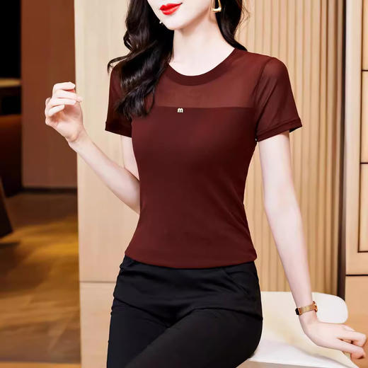 KQLE37M27812024夏季新款圆领百搭大码打底衫修身显瘦纯色网纱短袖t恤女批发 商品图1