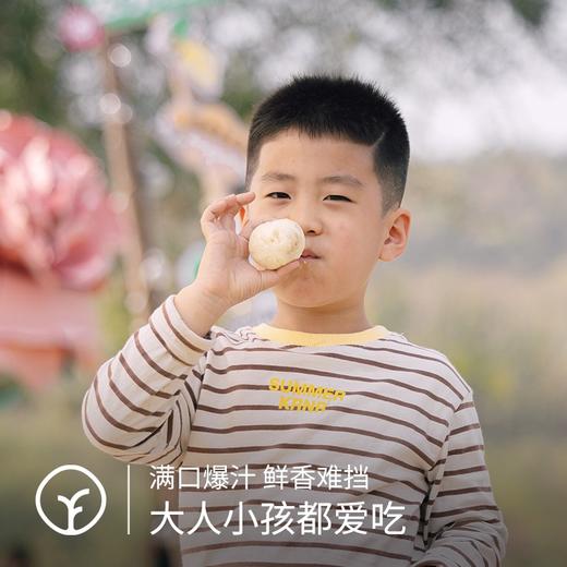 【手工鲜松茸鲜肉小笼包子】猪总监自营泰山土猪肉|有机认证面粉|云南野生纯松茸，不加鸡精味精调味料，老面发酵有机面皮麦香味、野生纯松茸馅鲜多汁 商品图4