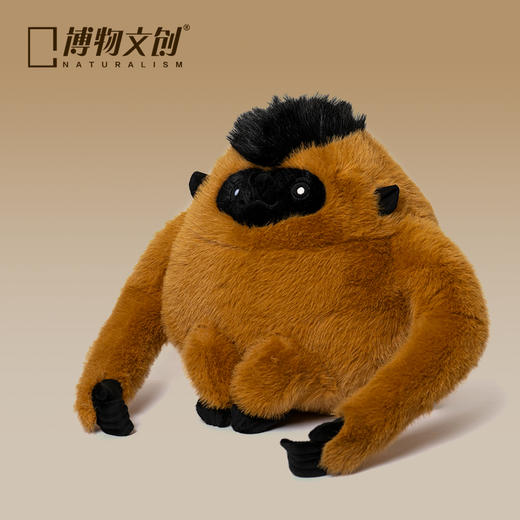 博物文创 大圆宝系列合集 兔狲雪鸮双髻鲨跳岩企鹅羚牛北极兔树麻雀虎鲸北极狐鸮鹦鹉大红鹳 商品图8