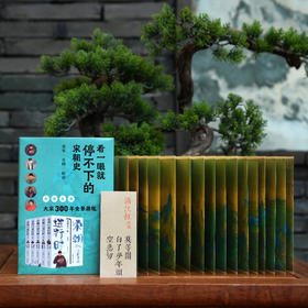 宋朝进行时 （五部曲 ）王朝开启 人文鼎盛 变法风云 偏安江南 神州陆沉 宋朝历史故事书籍