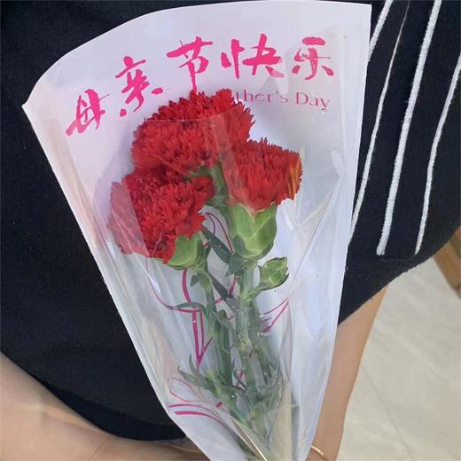 康乃馨小花束3支/束 商品图1