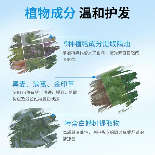 送干发帽 | 韩国原装进口TS帝叶斯 防脱/控油蓬松/染烫修复鱼腥草洗发水、鱼腥草护发素500ml 商品图9