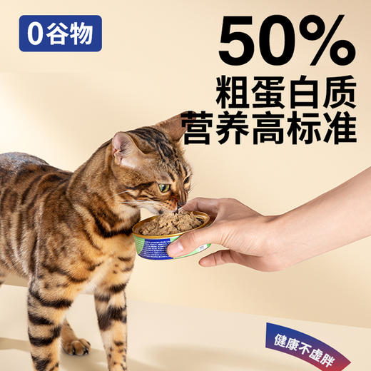 吉芙全价猫粮主食罐头0胶0淀猫湿粮成猫幼猫补充营养奖励零食 商品图3