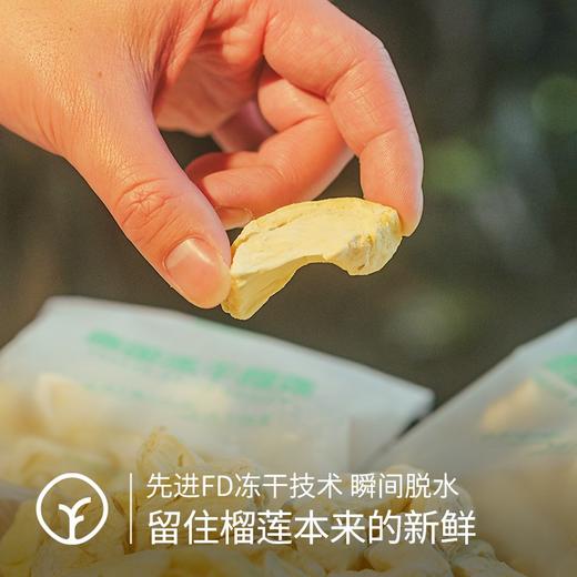 【热带水果之王 泰国金枕头冻干榴莲】金枕头榴莲肉原切 FD冻干技术制作 营养成分全保留 果香浓郁 冻干榴莲中的天花板 商品图2