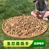生态香菇干2袋（100g/袋*2）【产地直发】@妈妈农场 商品缩略图0