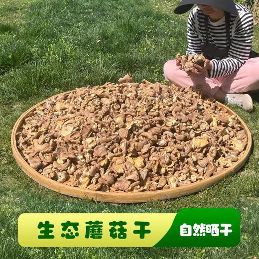 生态香菇干2袋（100g/袋*2）【产地直发】@妈妈农场 商品图0