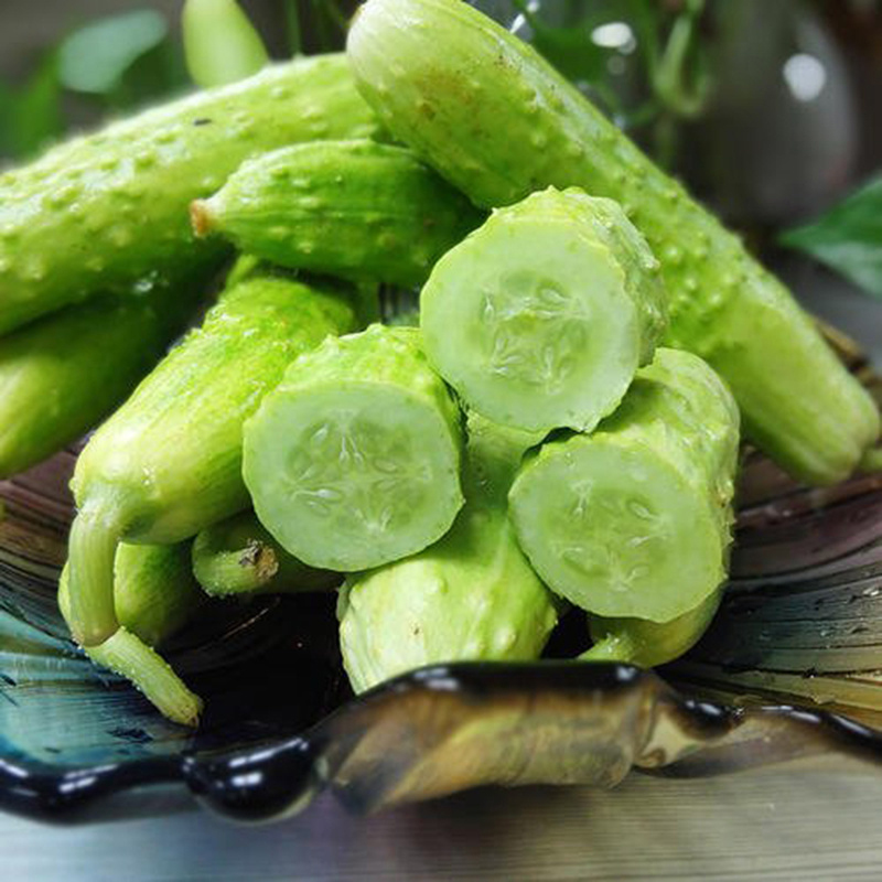 海阳白玉黄瓜