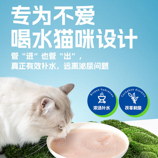 吉芙宠物零食补水汤包成猫幼猫营养湿粮猫咪用肉汤罐头拌猫粮100g 商品图3
