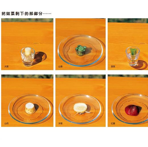 《好好科学》 （共4辑） 商品图12