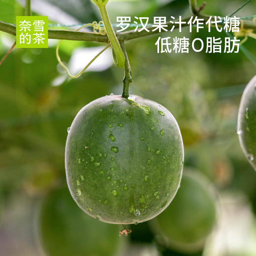 青提香乌龙茶蜜桃葡萄乌龙茶西柚蜜瓜果汁茶饮料低糖0脂450ml*15瓶整箱 商品图5