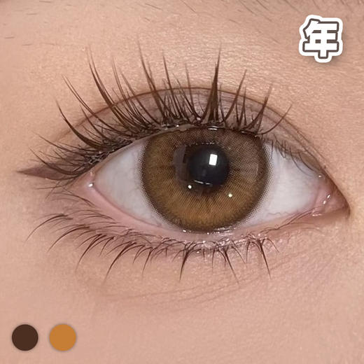 #A36 燕麦南瓜  巧/棕 14.2MM【1片装】 舒适推荐 / 半年抛 商品图2