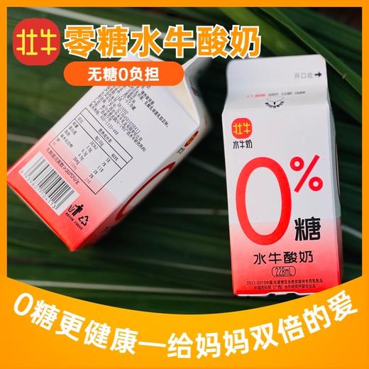 【970母亲节-超值购】壮牛-0糖水牛奶 6盒/组 商品图0