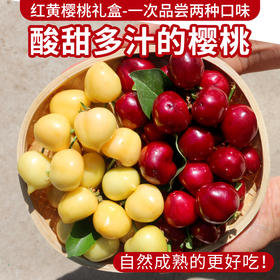 新鲜樱桃礼盒 红樱桃2斤+黄樱桃2斤 酸甜多汁每日现摘