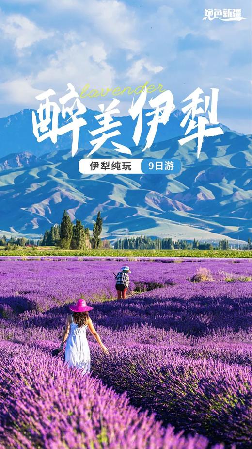 绝色新疆·醉美伊犁：巴音布鲁克日落 独库公路 醉美夏特古道 赛里木湖环湖 喀拉峻大草原 水陆空畅游9日 商品图0