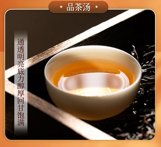 凤凰单枞 | 宋茶荟2024年  喫茶系组合装 春茶 100g*4 商品图5