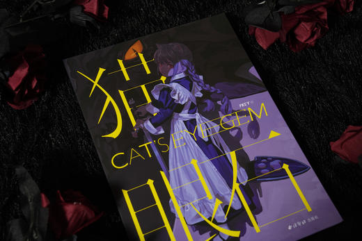 FKEY 个人插画作品集《猫眼石》深陷于沁人灵动的可爱双眸 商品图1