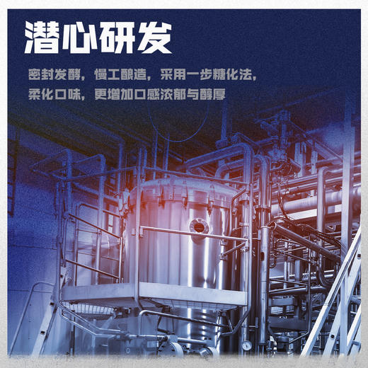 「汪苏泷代言」珠江啤酒 12.3°P（1985）640mL*12瓶整箱全麦酿造 经典传承 匠心佳酿 商品图2